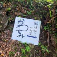 瀞峡巡り川舟観光【かわせみ】⭐