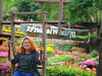 ชมดอกไม้นานาพันธุ์ที่สวนเเม่ฟ้าหลวง