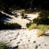One of the Top 10 Beaches in Tasmania
