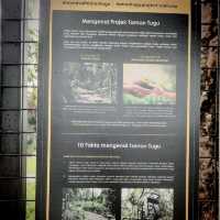 Kuala Lumpur Green Jewels Taman Tugu Trails❤️