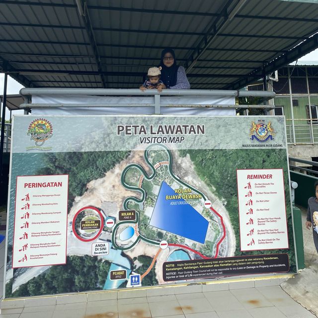 Good place to watch crocodile in live