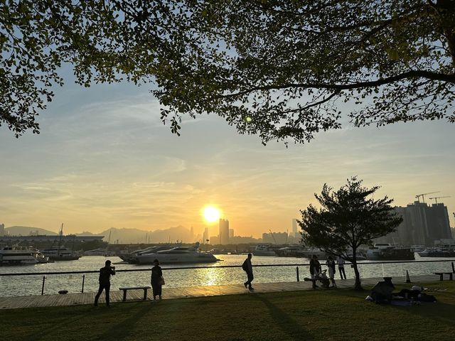 本地遊 | 觀塘海濱公園 | 不同季節不同時段的景致
