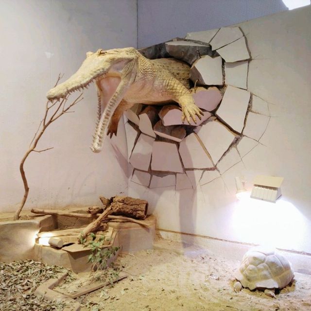 生きてるミュージアム　NIFREL