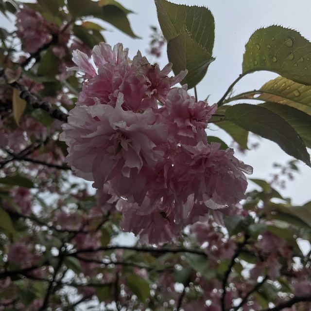 경주 구석에서 인생샷 찍을 수 있는 곳🌴