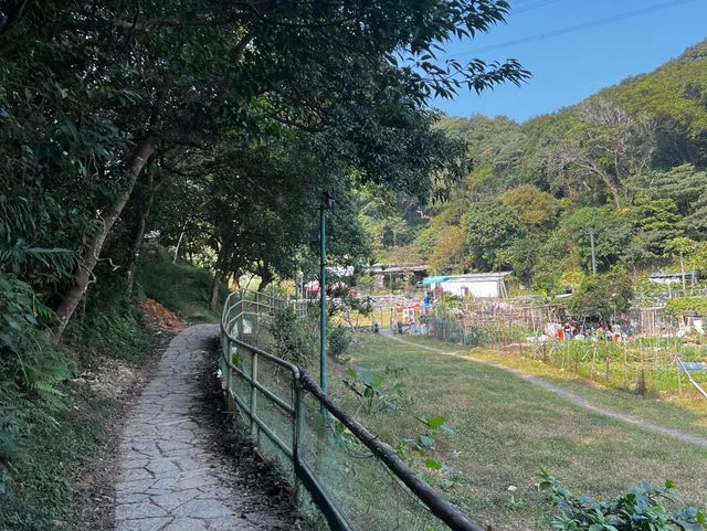 井欄樹村隱世親子活動、燒烤、紮營
