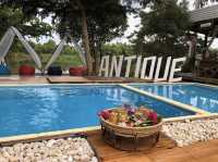 The Antique Riverside 