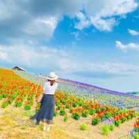 富良野 かんのファームの花畑