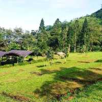 D'JUNGLE PRIVATE CAMP, BOGOR