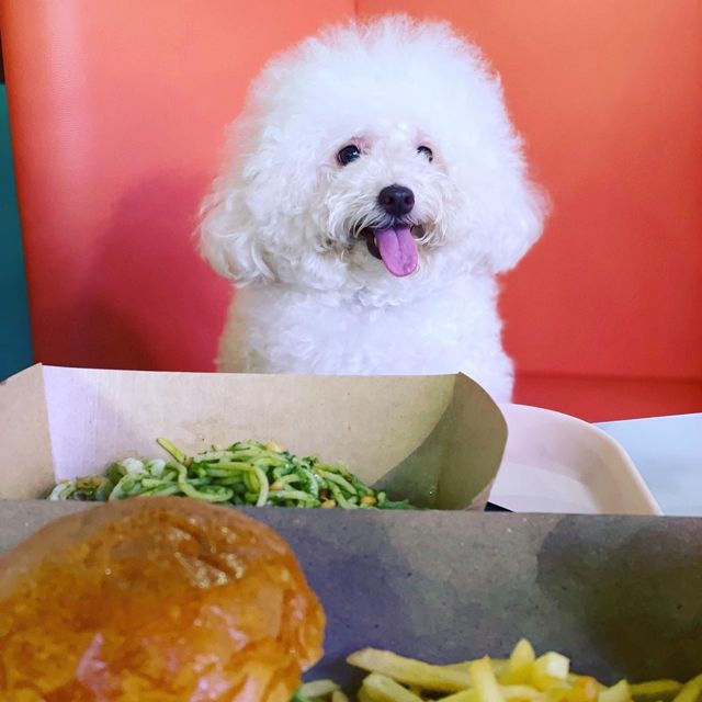 狗狗都入得嘅餐廳🥰