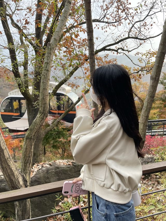 가을 단풍 맛집 :: 화담숲🍂🤍