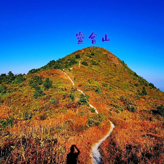 三山連走－觀音山、羌山、靈會山