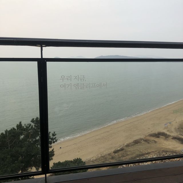겨울 바다를 따뜻하게 즐기고 싶다면 🤭⁉️