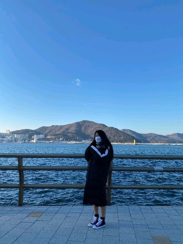 [여수] 동백열차 타고 오동도 한바퀴