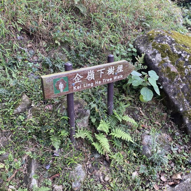水浪窩觀星