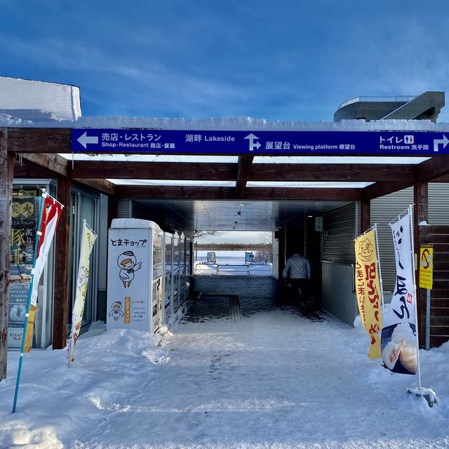 冬の道の駅ウトナイ湖