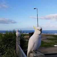 無敵海景 ～ Brighton Beach 