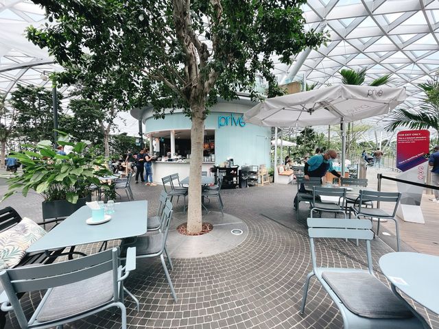 Dining with a view of nature