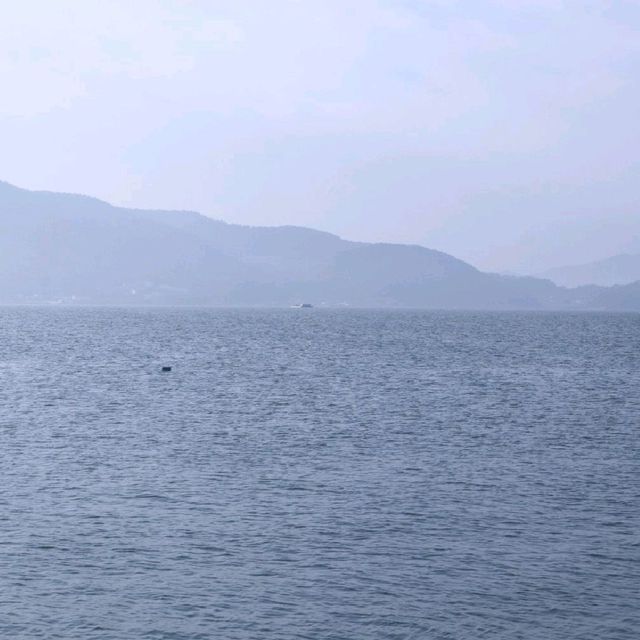 남해핫플 포토존 '무지개해안도로'