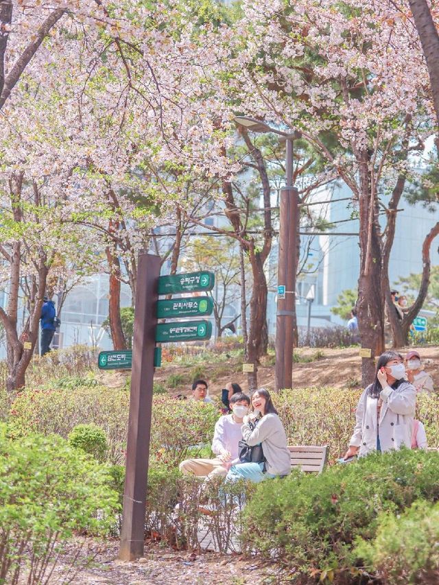 서울 피크닉하기 좋은 곳, 석촌호수공원