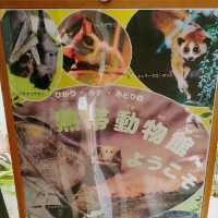 いろんなカメがいる！京都市動物園　熱帯館