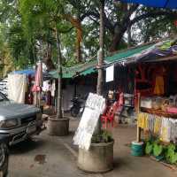 ชมหอธรรมศิลปะล้านนา วัดพระสิงห์วรมหาวิหาร