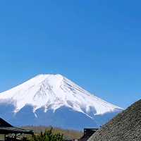 忍野八海