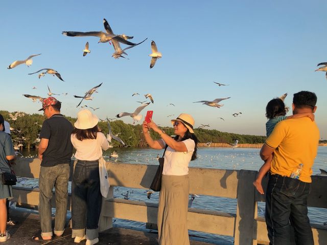 บางปู