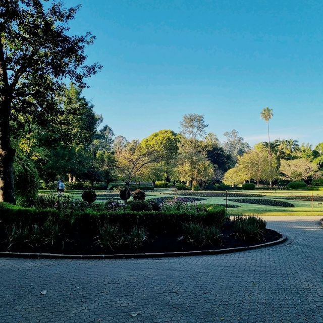 Beautiful City Botanic Gardens Brisbane