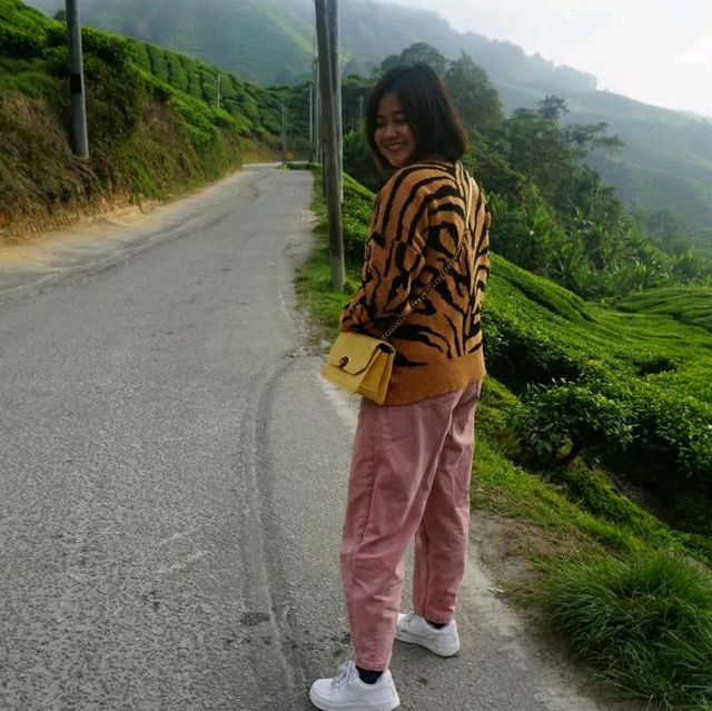 ไร่ชาBoh เขียวสบายตา อากาศดีสบายใจ