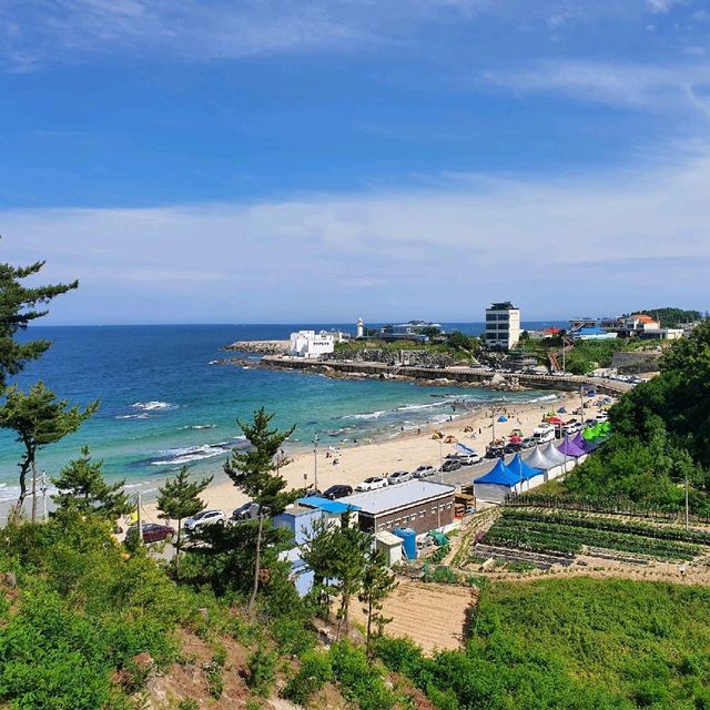 아야진 해변 뷰가 좋은 고성 '시크릿 블루 카페'