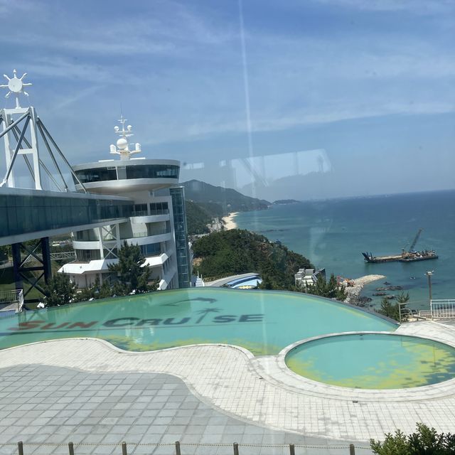 야경맛집 정동진 썬쿠르즈 호텔