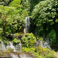 50 Meters high twin waterfall in  Munduk,Bali