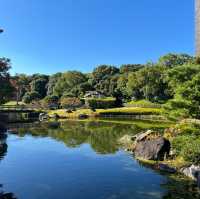 名古屋 楓葉下 的白鳥庭園🍁🍁