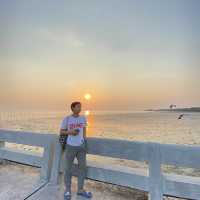 ให้อาหารนก ที่บางปู