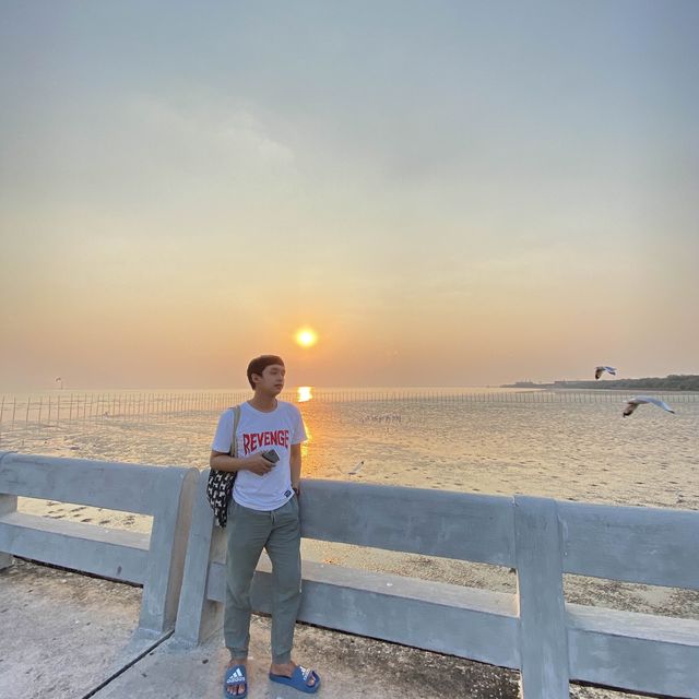 ให้อาหารนก ที่บางปู