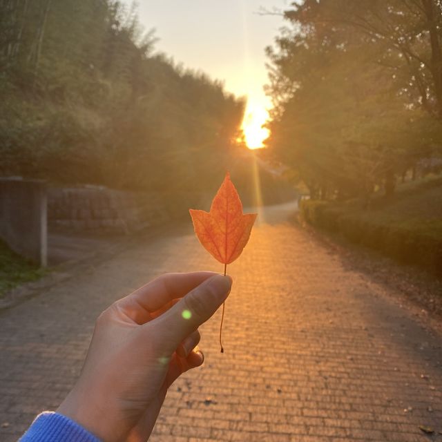 ✨四季の郷公園✨　道の駅