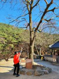 이국적 분위기의 수홍루가 아름다운 구례 천은사🏯