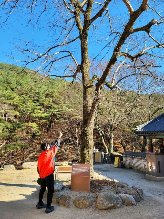 이국적 분위기의 수홍루가 아름다운 구례 천은사🏯