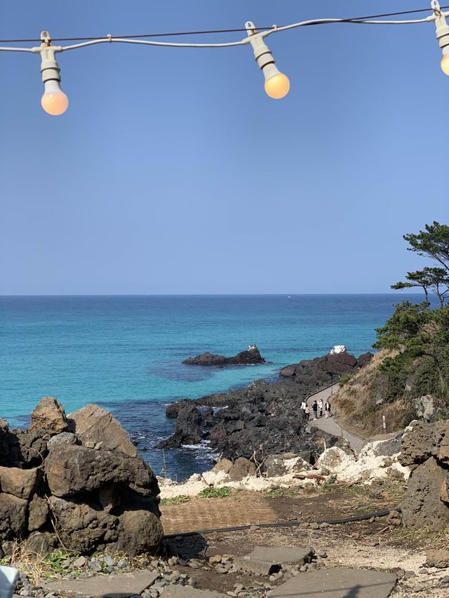 🍊제주 애견동반 가능한 바다뷰 카페 애월더선셋 🍊