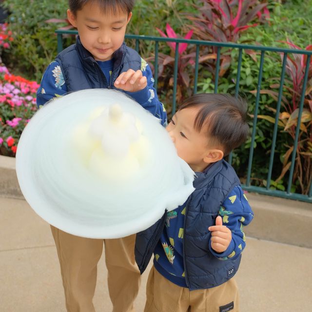 充滿聖誕氣氛的迪士尼樂園