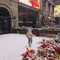 Snow in Nanjing ❄️