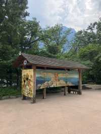 설악산 케이블카타고 인생샷여행하기🚡