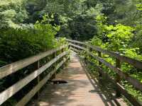 Hike to Chimney Top - Great Smokies 