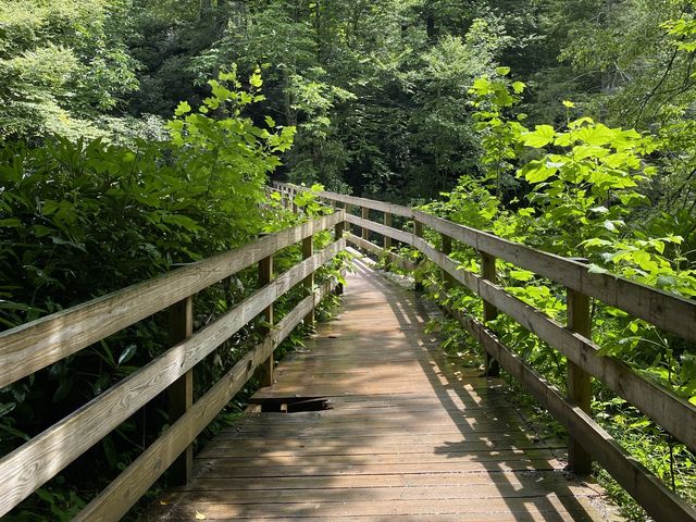 Hike to Chimney Top - Great Smokies 