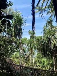 Bako National Park - Borneo, Malaysia  