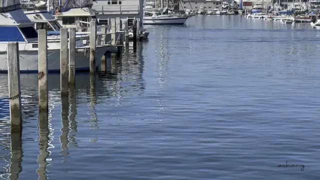 Tranquility Reflection of San Diego Harbor 