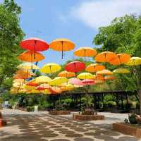 A Day Trip to Beautiful Daejon O-World