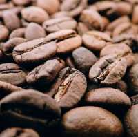 day trip to Materuni waterfall and coffee tou