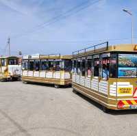 Golden Tourist Train