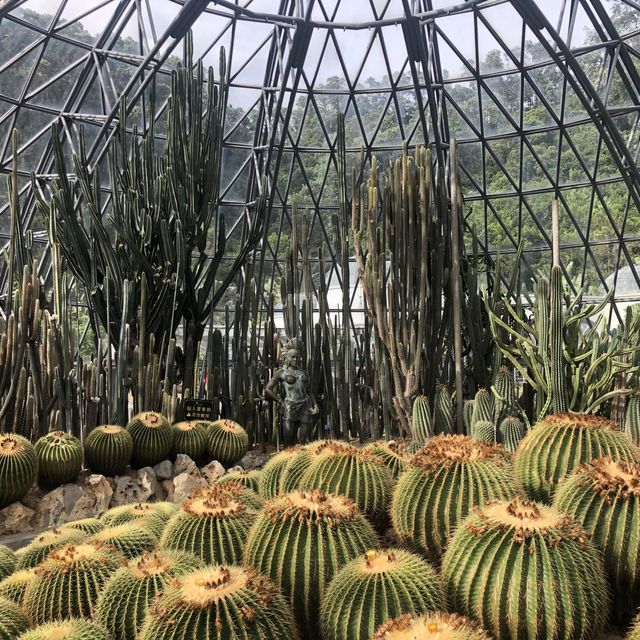 深圳氧吧｜東湖植物園